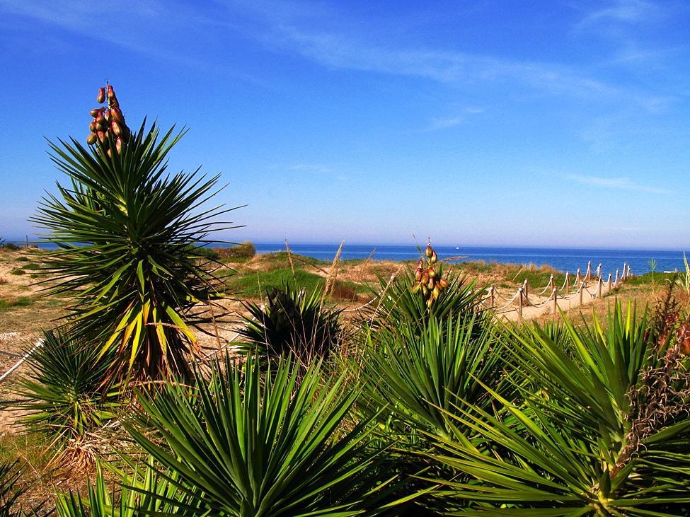 Camping Los Llanos Дения Экстерьер фото